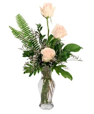 Captivating Cream Roses — Rose arrangement