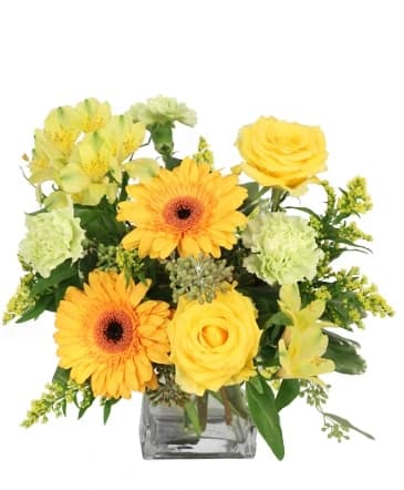 Get Well Florist's Pick — Designer's choice