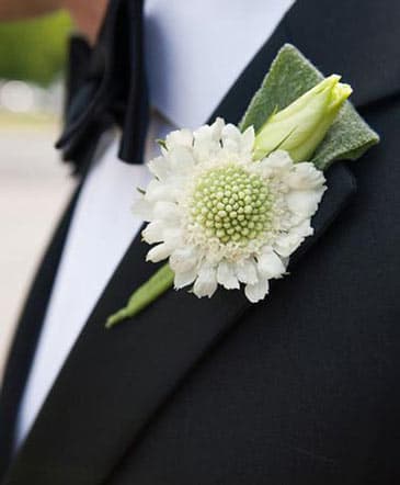 Dashing Daisy Boutonniere — Boutonniere