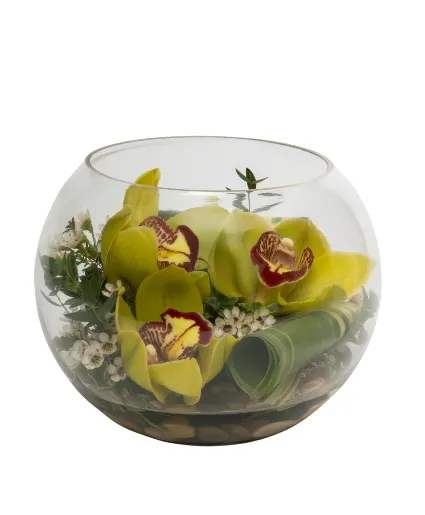 Orchid Bubble Bowl — Modern arrangement