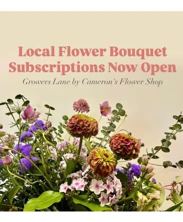 Seasonal local flower subscription arrangement designed by Cameron's Flower Shop
