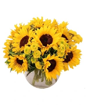 A bright cheerful get-well arrangement designed by Cameron's Flower Shop